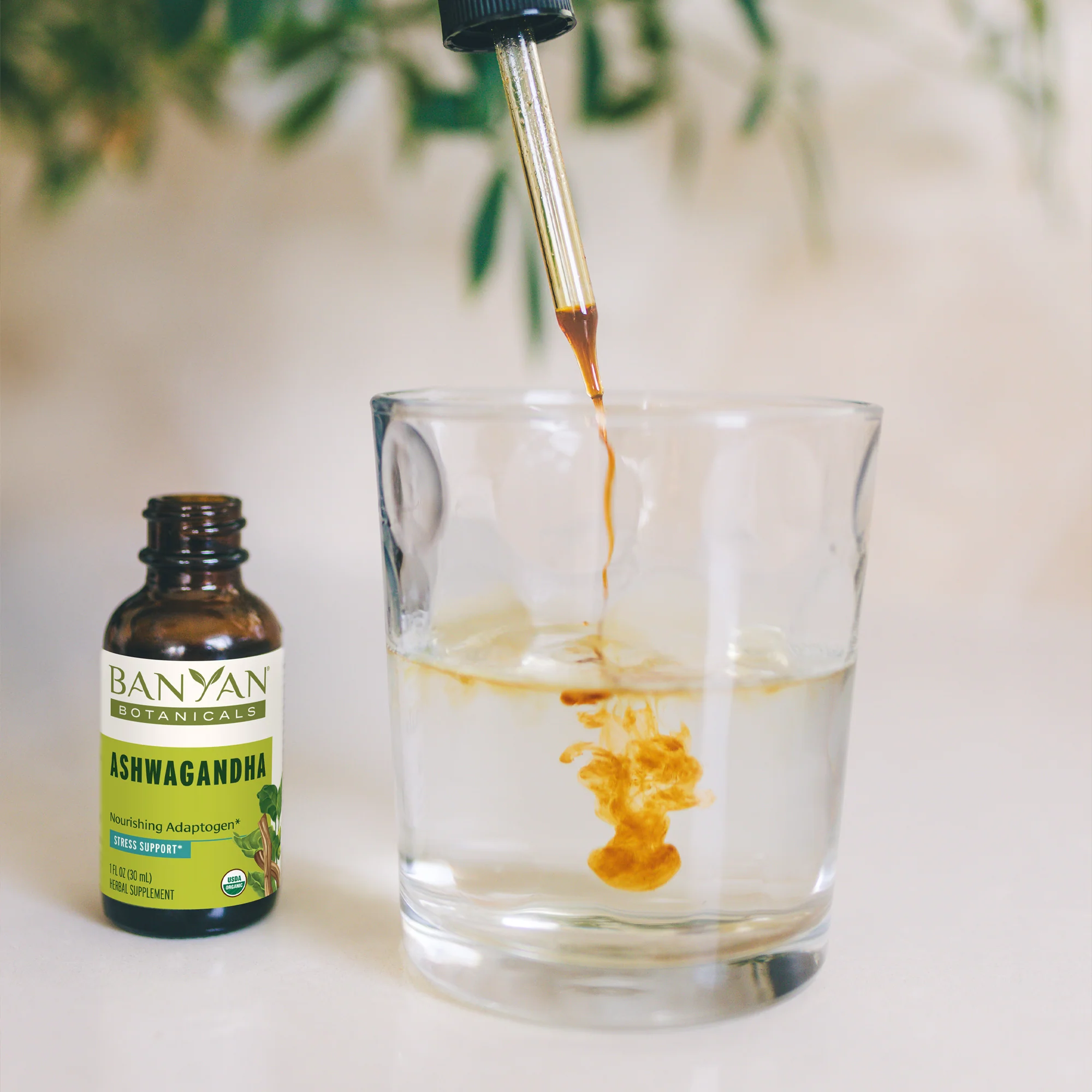Ashwagandha liquid extract - Image 3