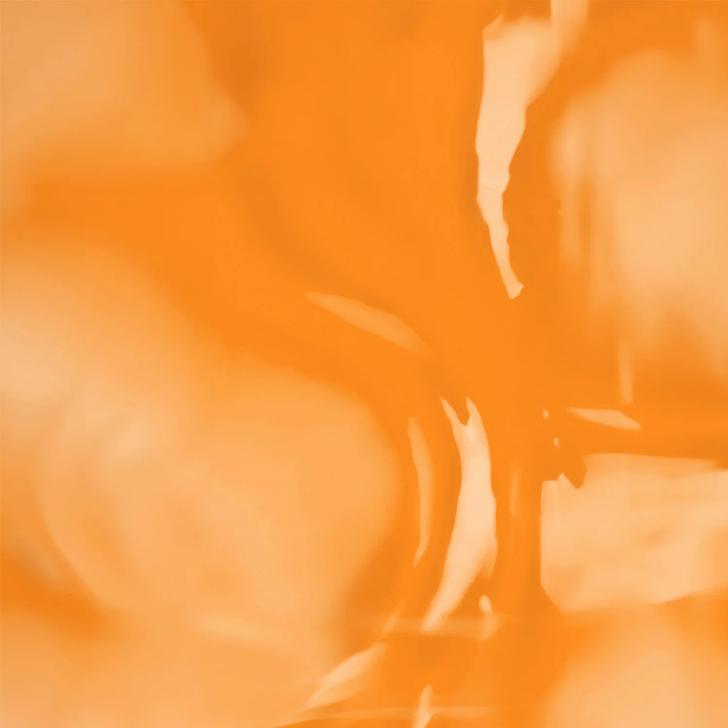 Bakuchi Oil+ - Image 6