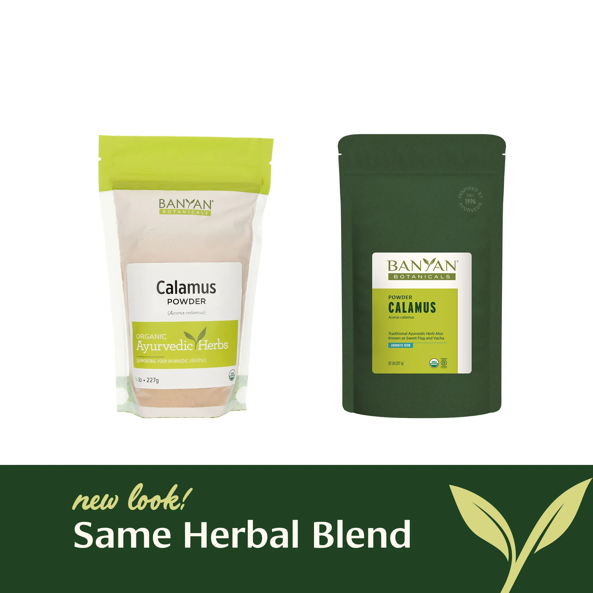 Calamus powder - Image 4