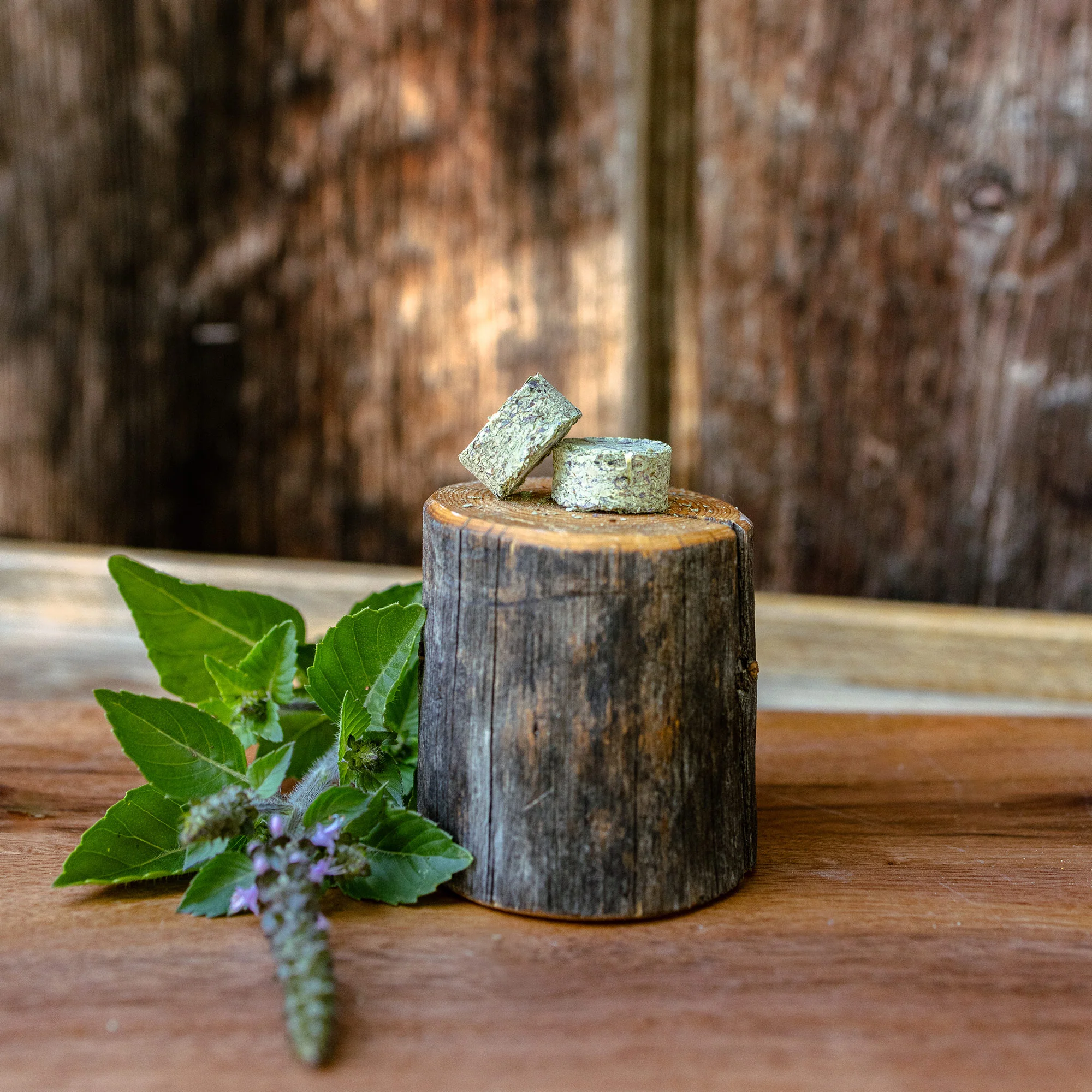 Centered Ritual Tulsi™ - Image 2