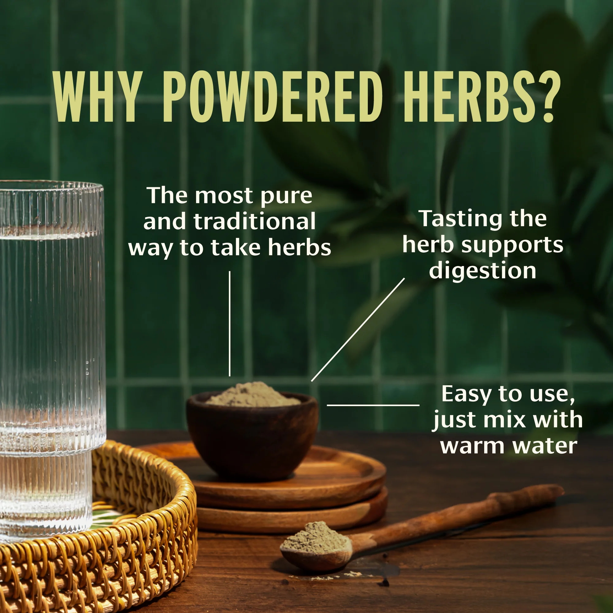 Chitrak powder - Image 6