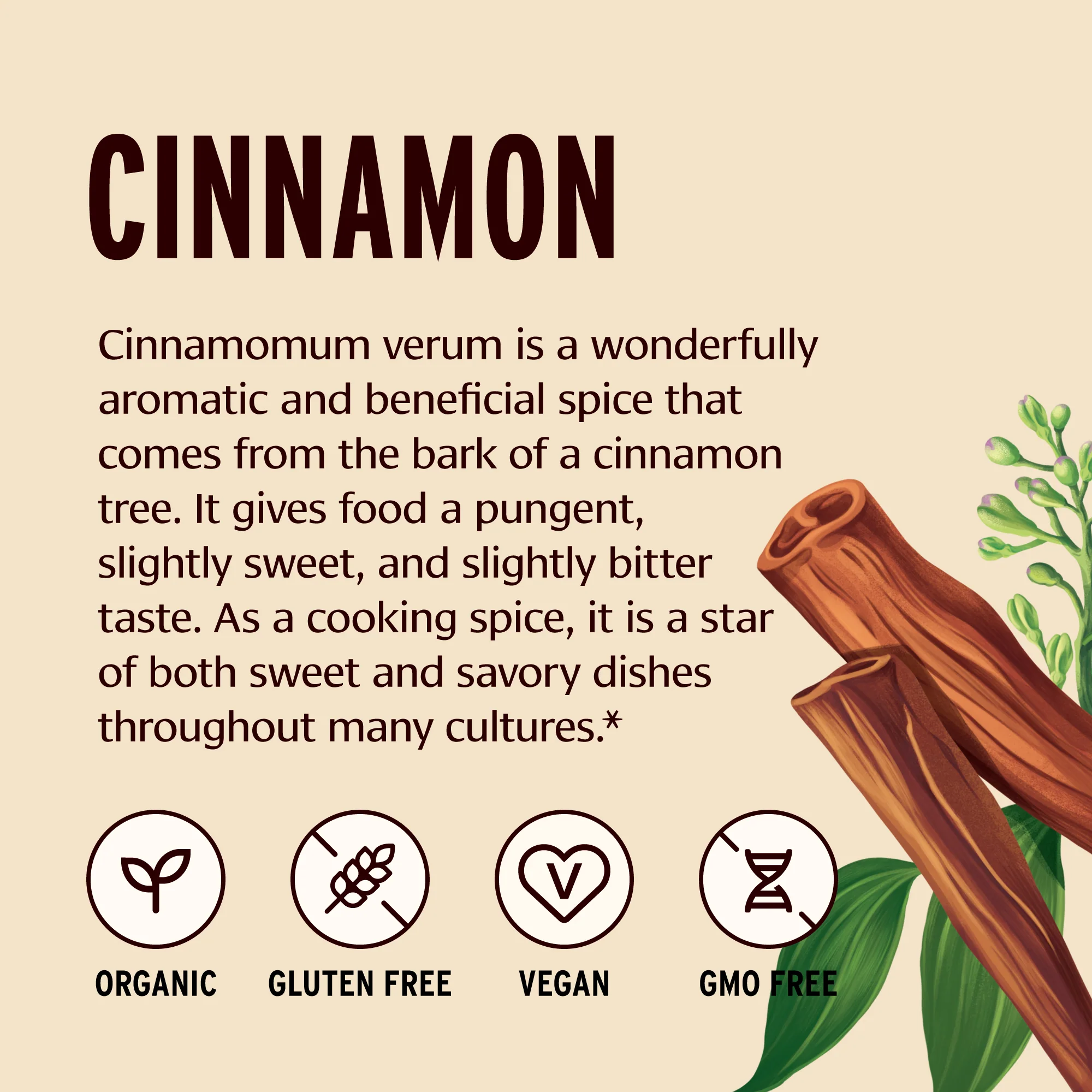 Cinnamon powder - Image 4