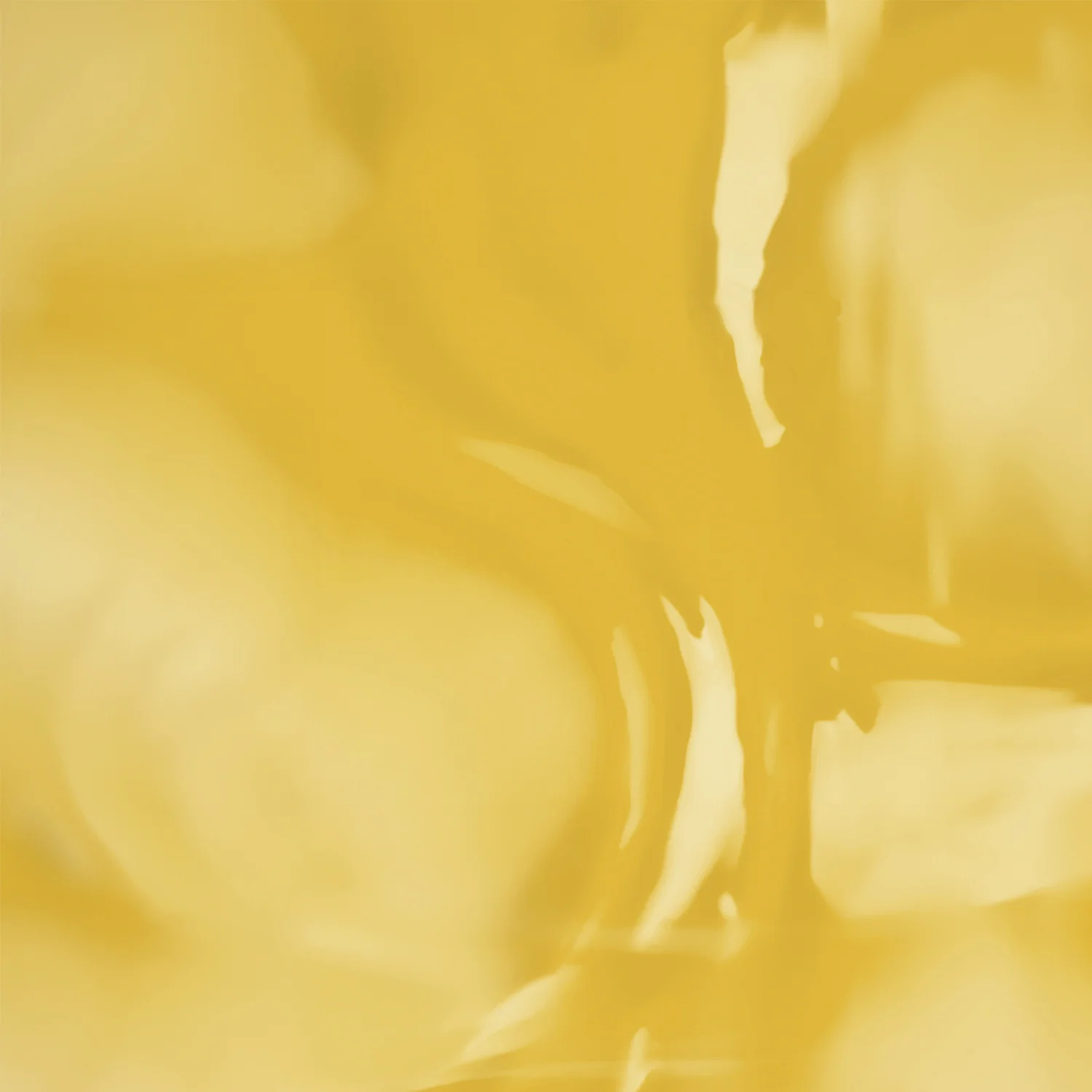 Dashamula Oil+ - Image 6