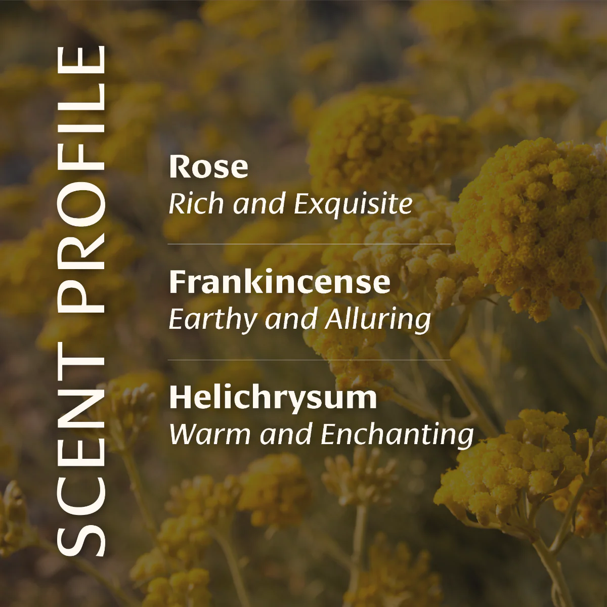 Face Oil - Image 6