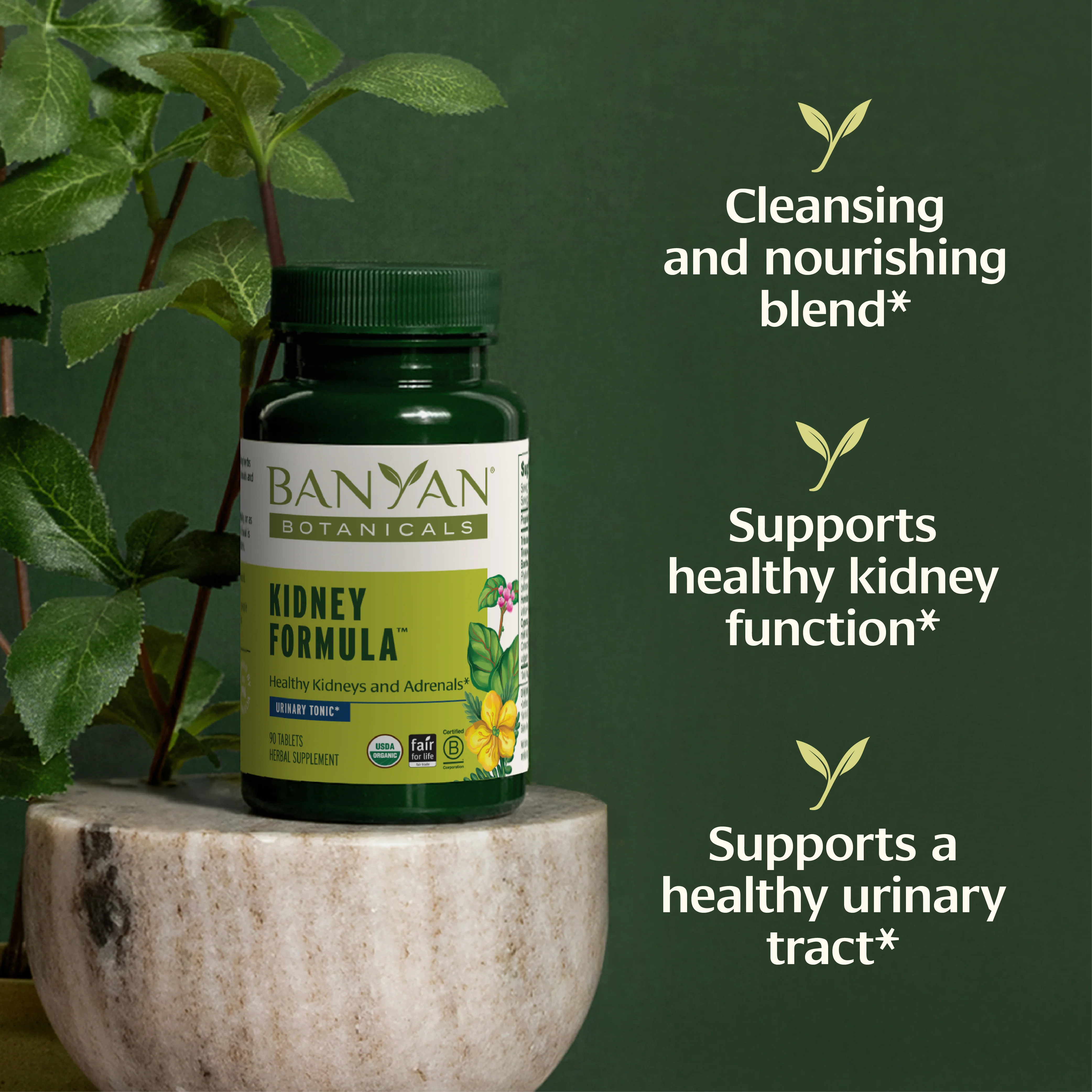 Kidney Formula™ tablets - Image 2