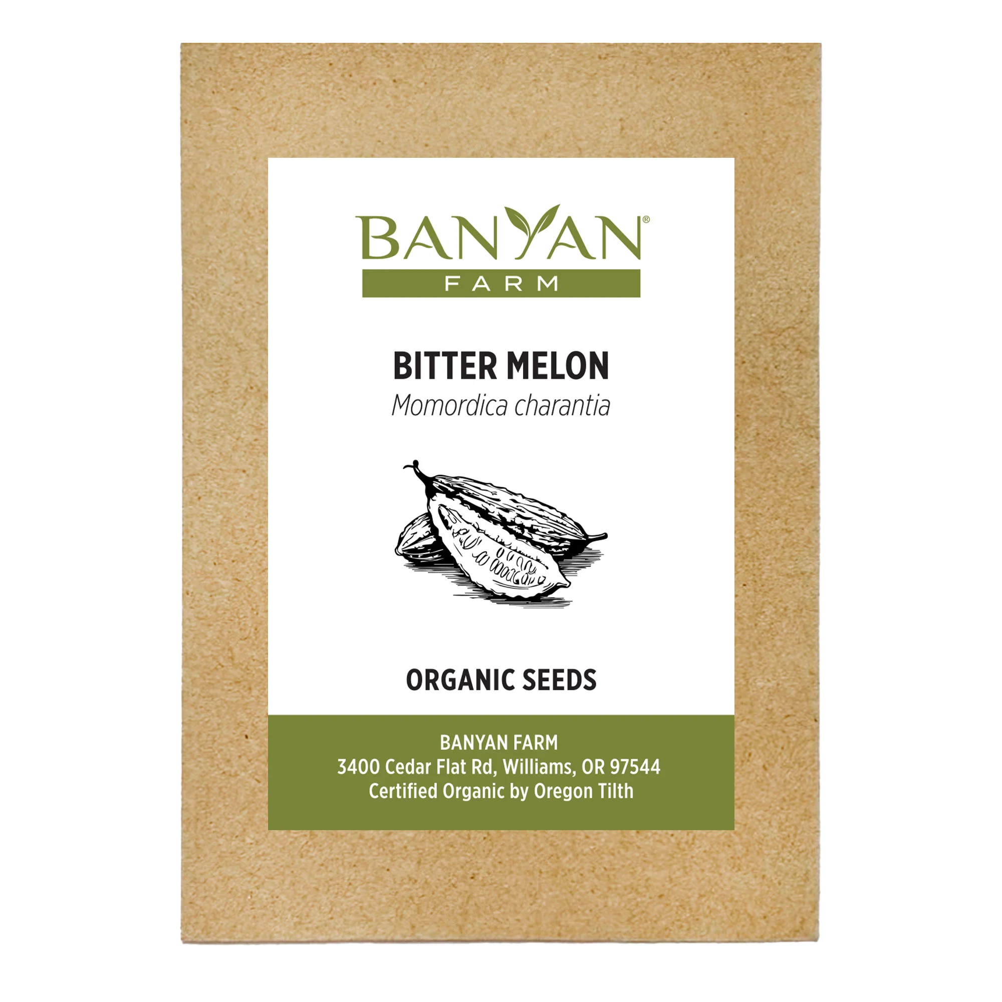 Organic Bitter Melon Seeds - Image 2