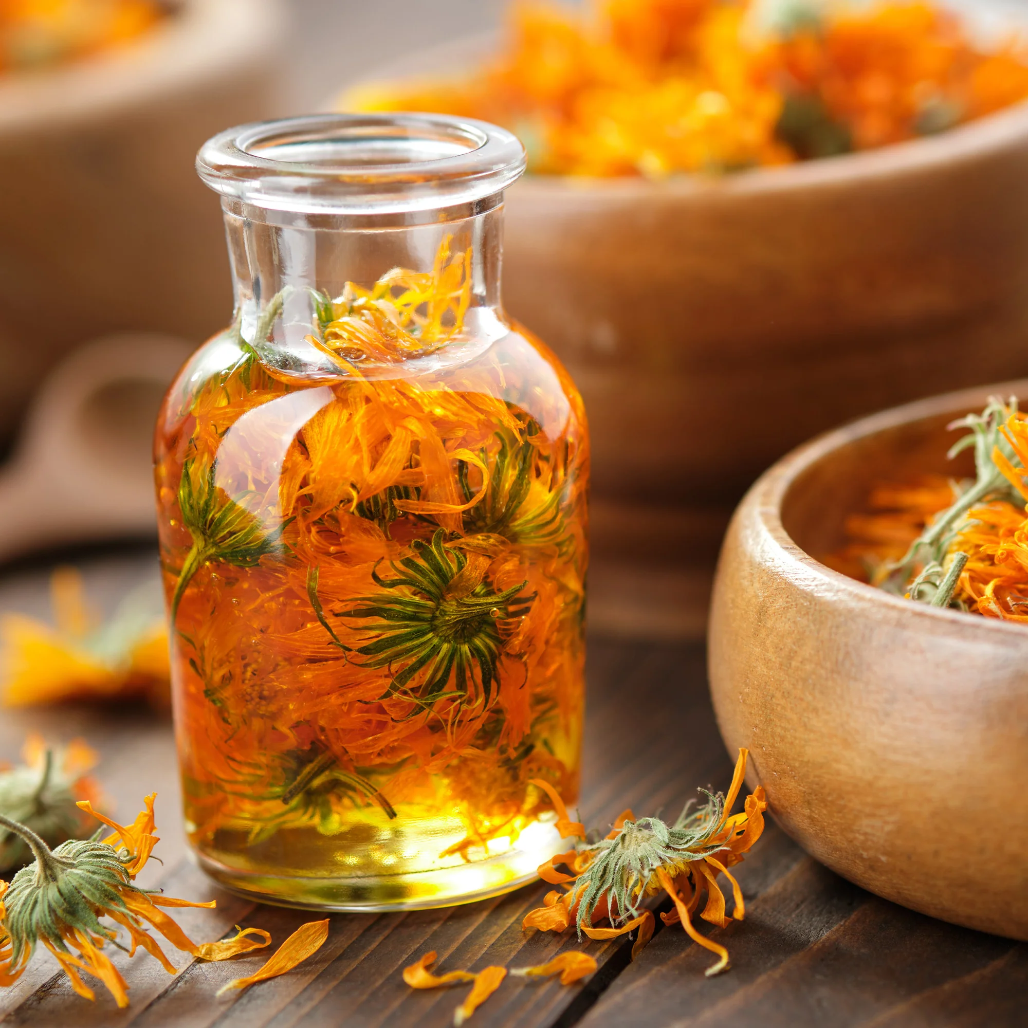 Organic Calendula Seeds - Image 7