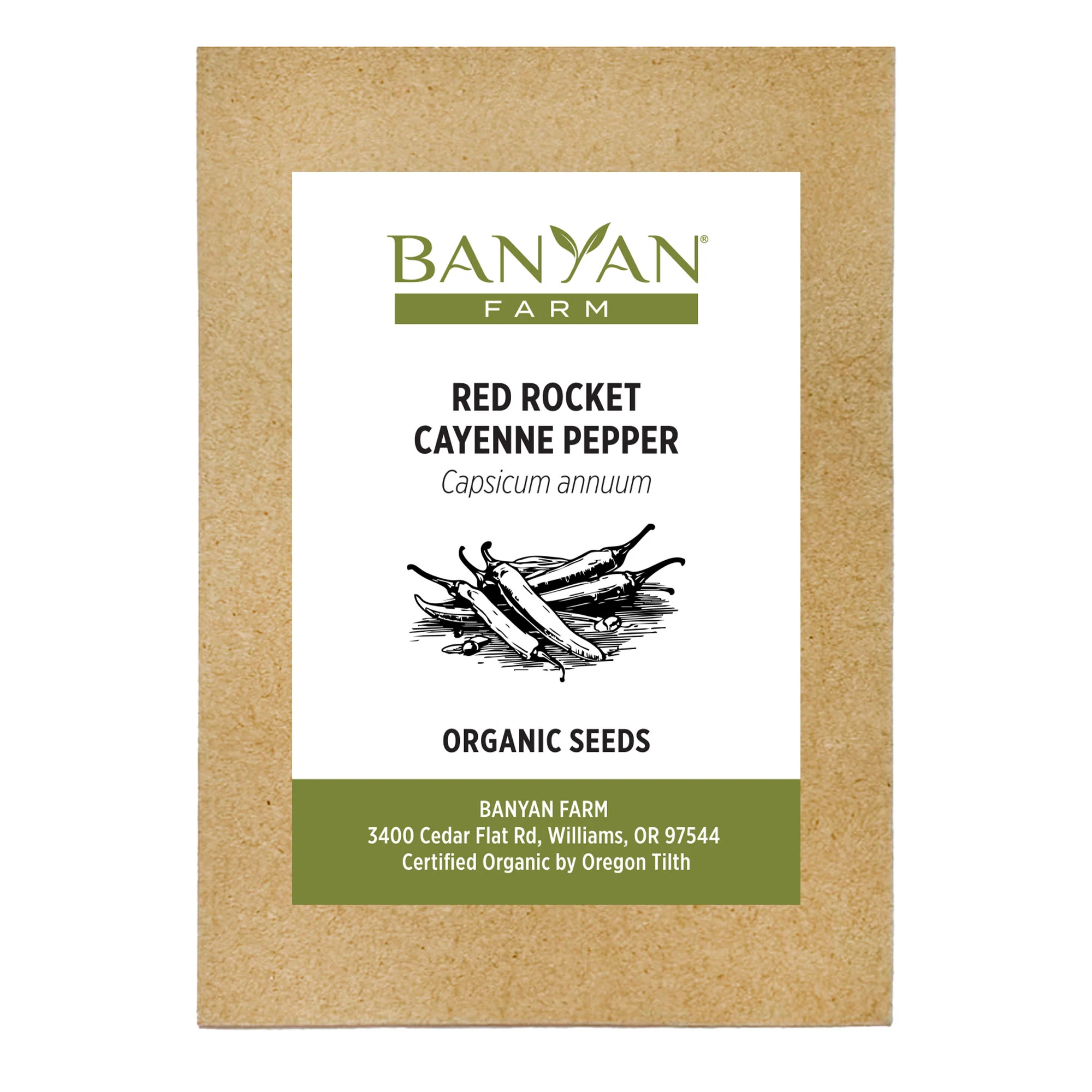 Organic Cayenne Pepper Seeds - Image 2