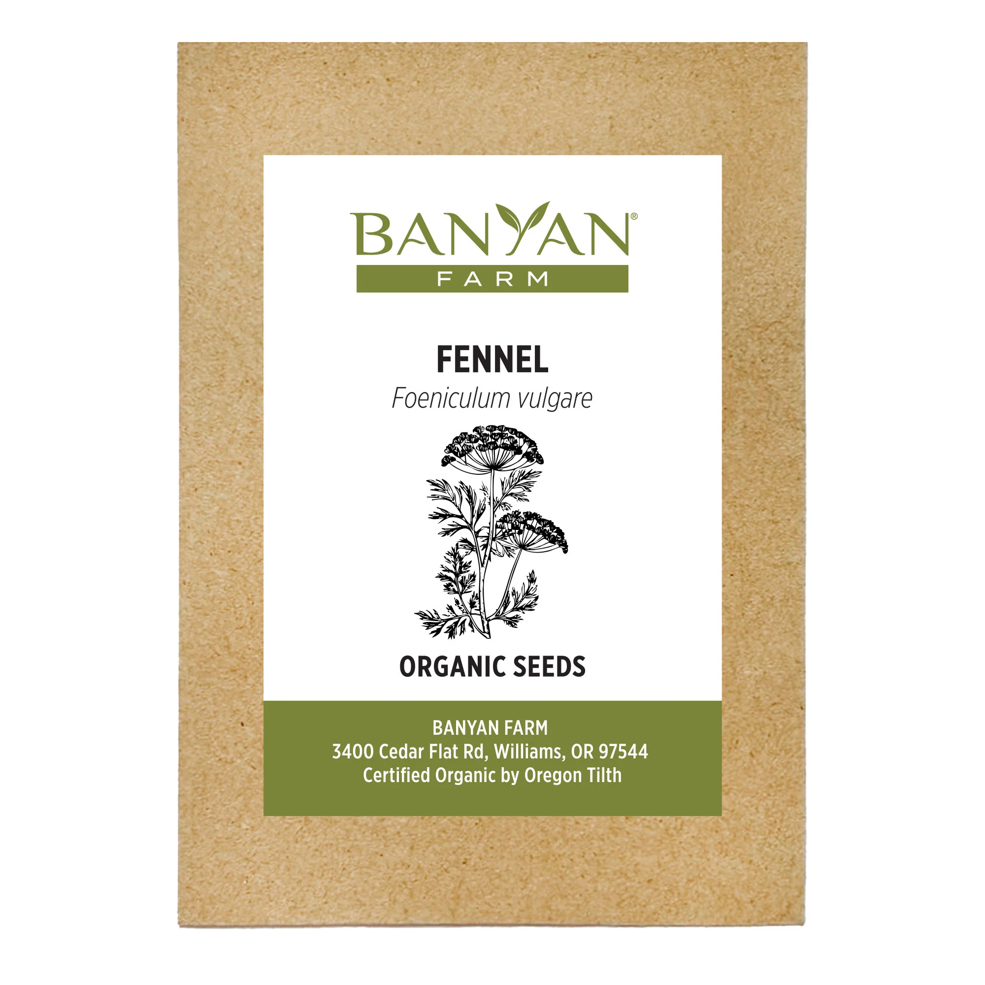 Organic Fennel Seeds - Image 2