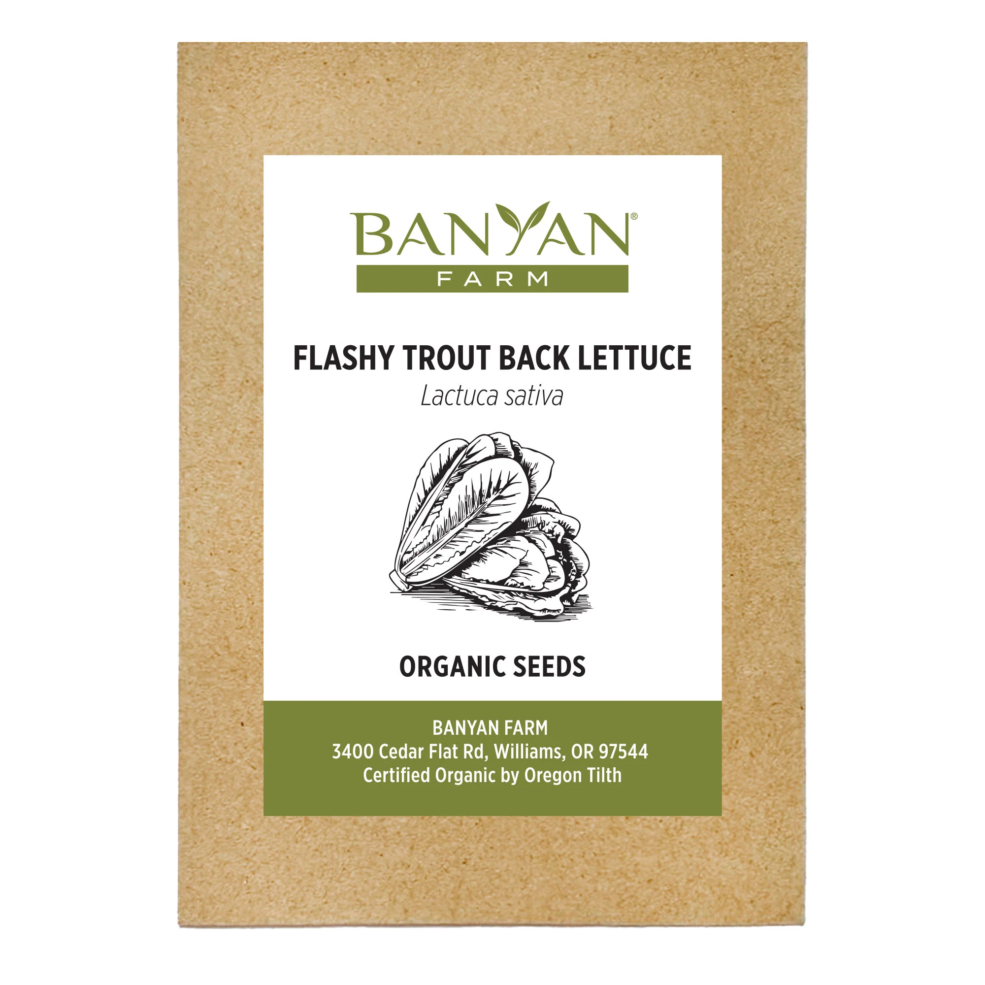 Organic Lettuce Seeds - Image 2