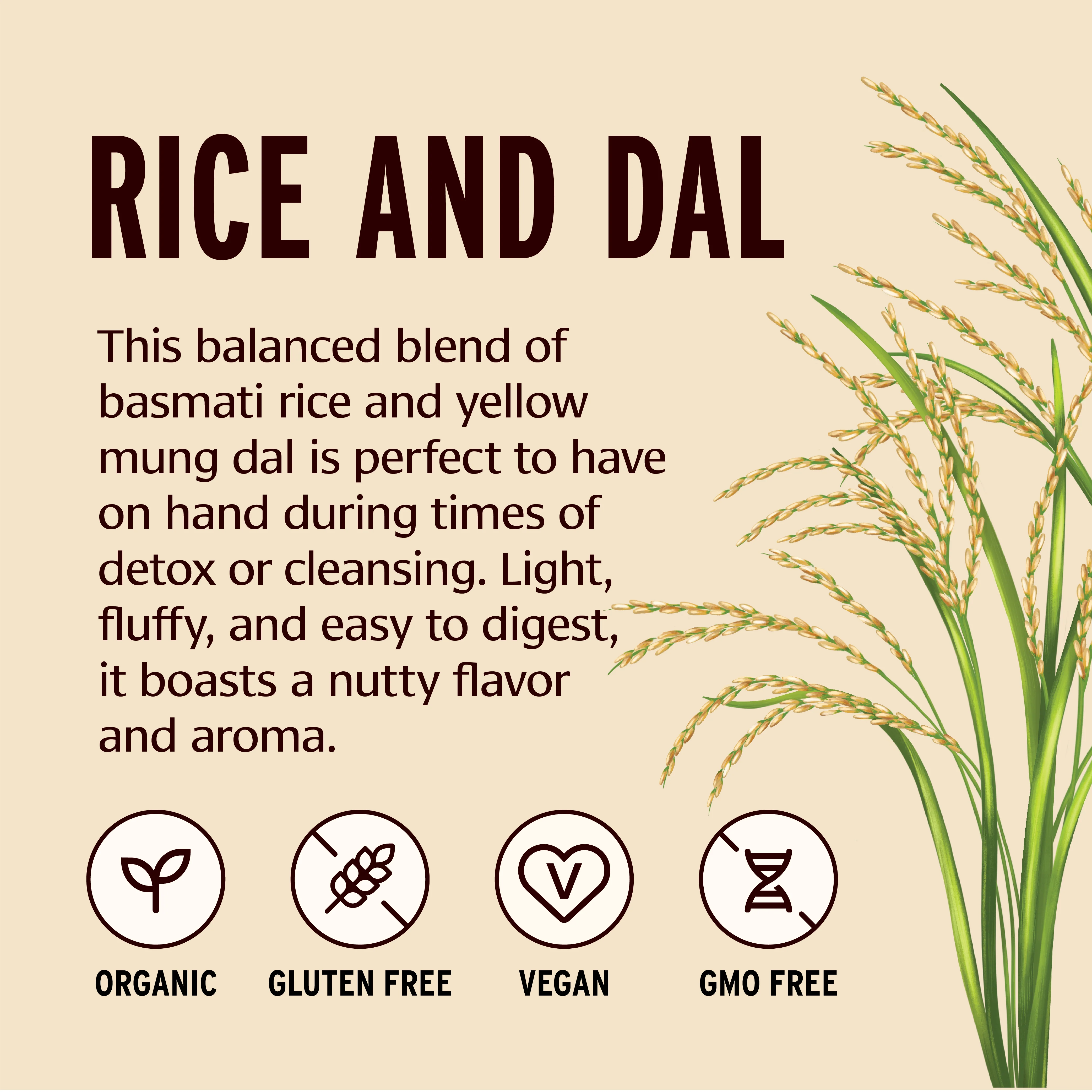 Rice and Dal - Image 3