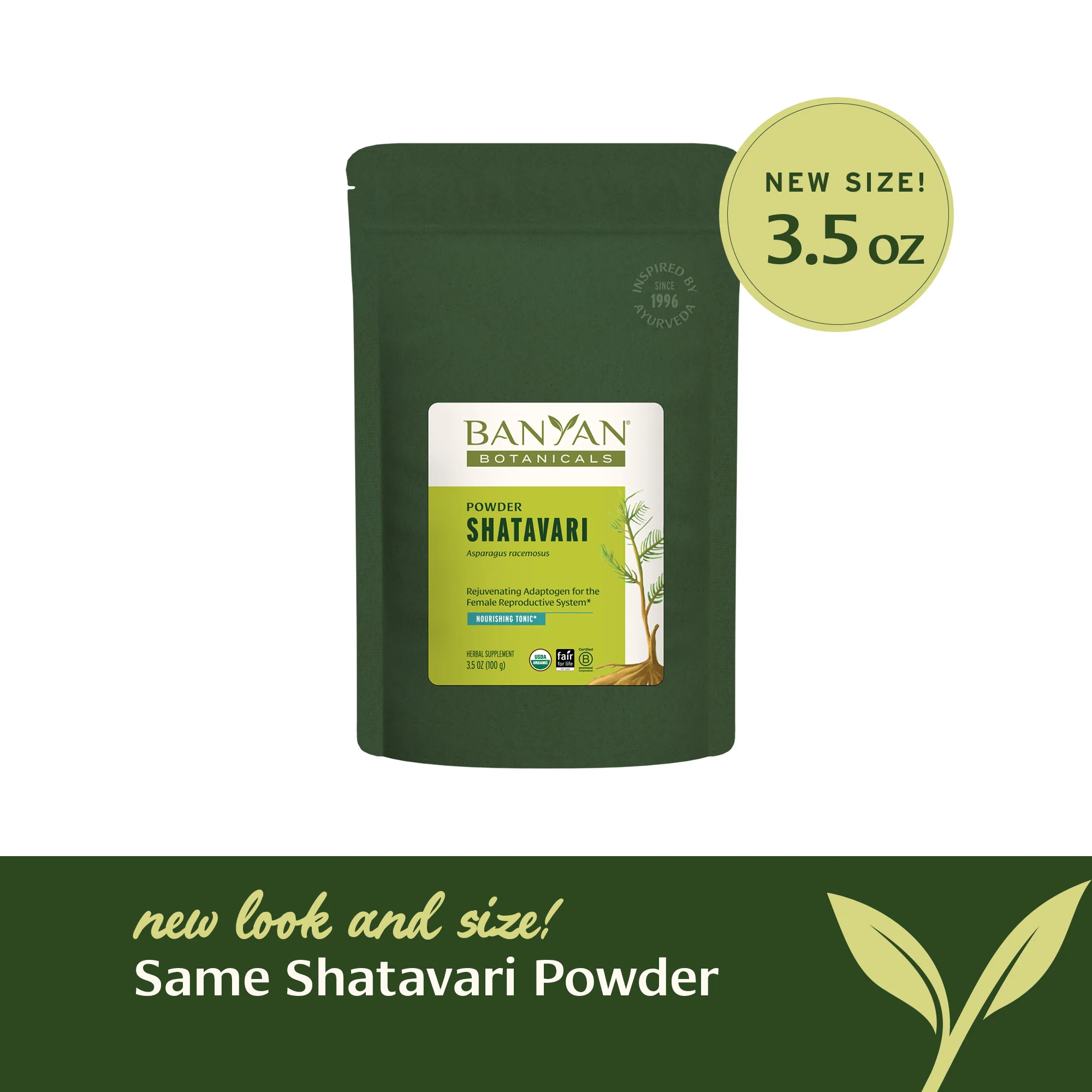 Shatavari powder - Image 11