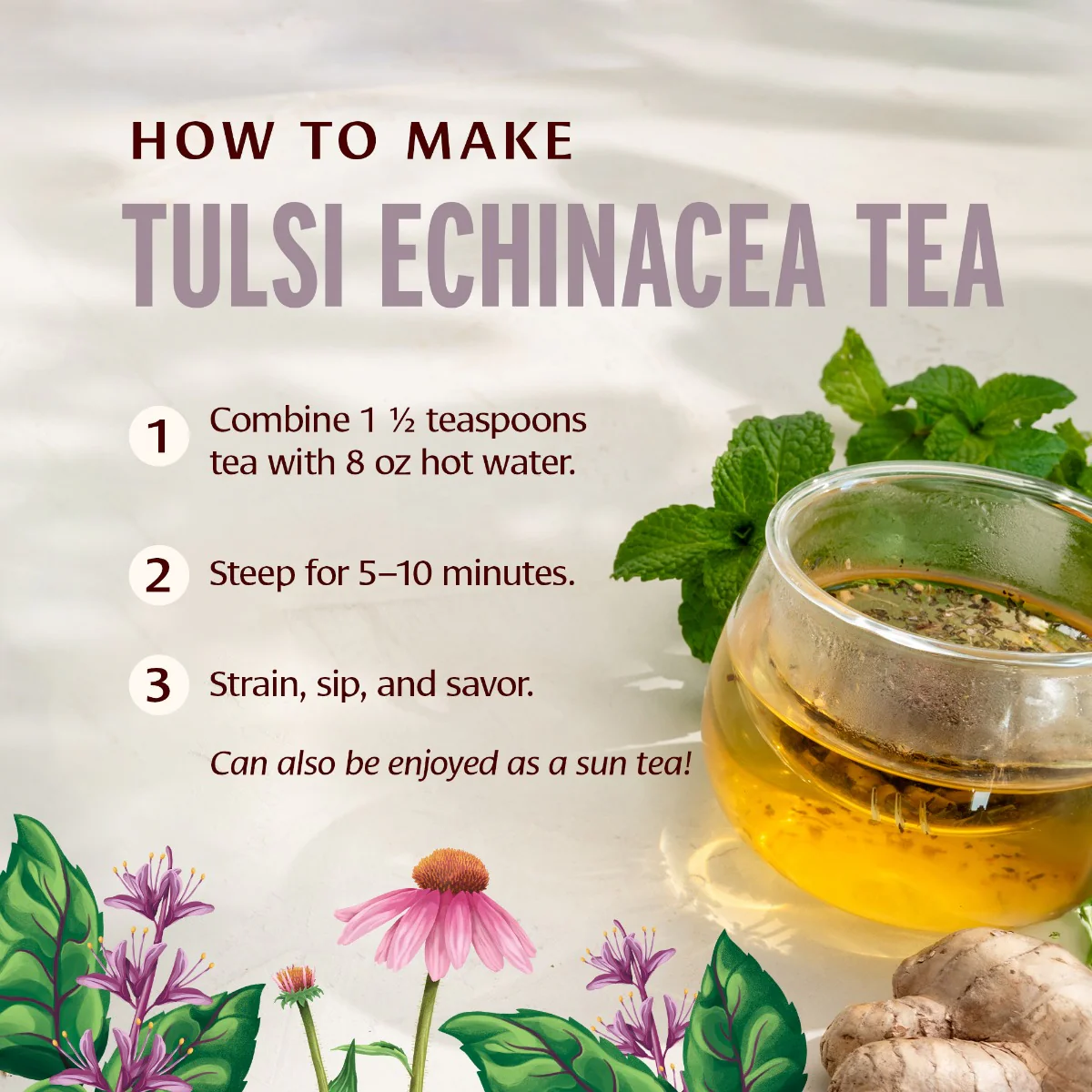 Tulsi Echinacea Tea - Image 3