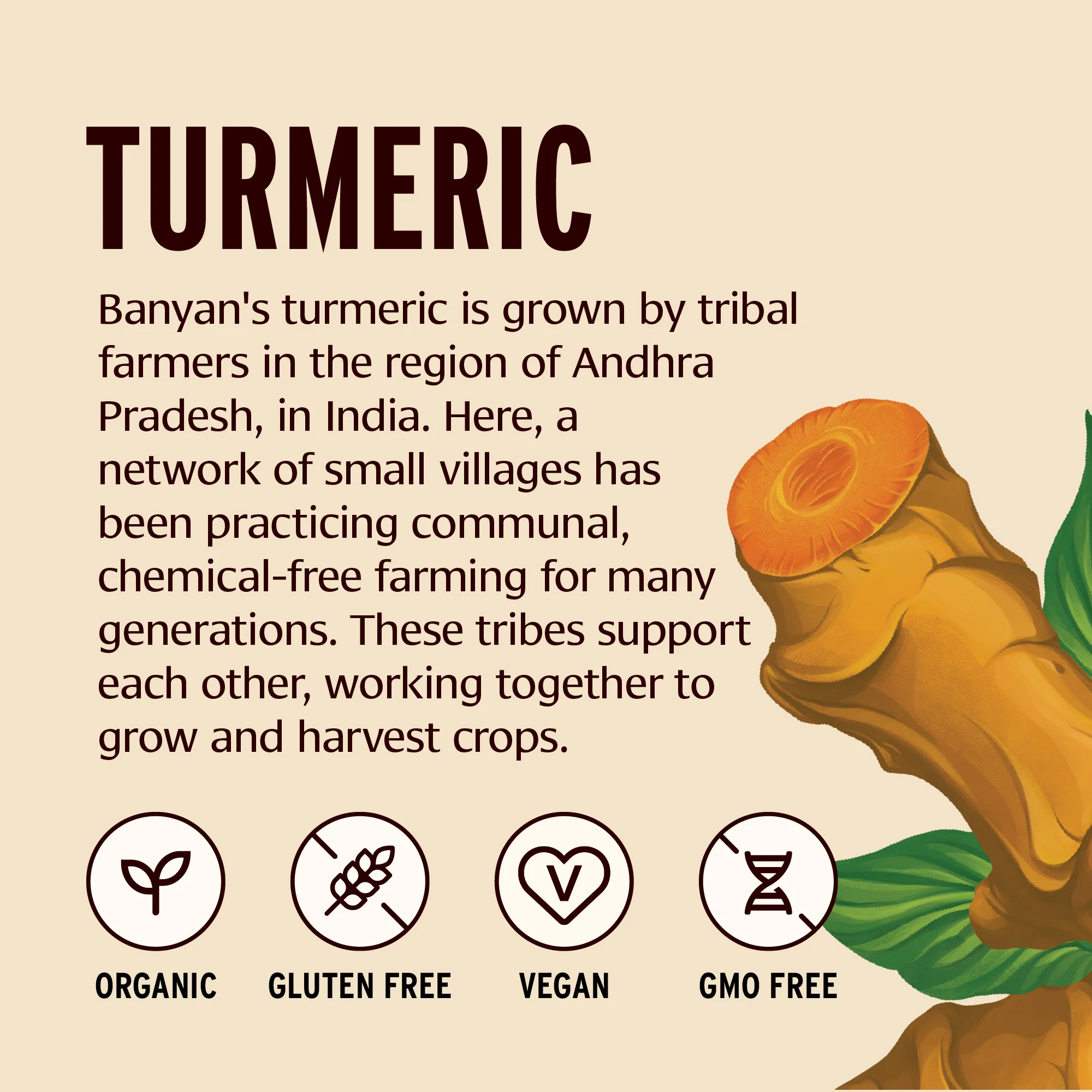 Turmeric powder - Image 8